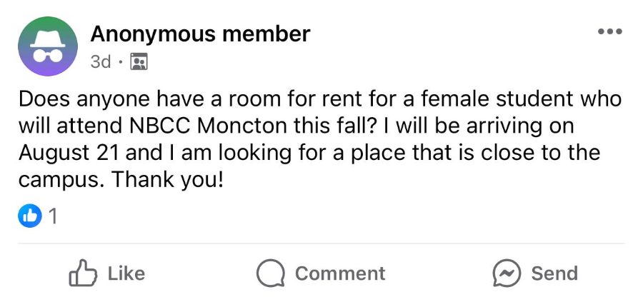 Student seeking a room near NBCC Moncton